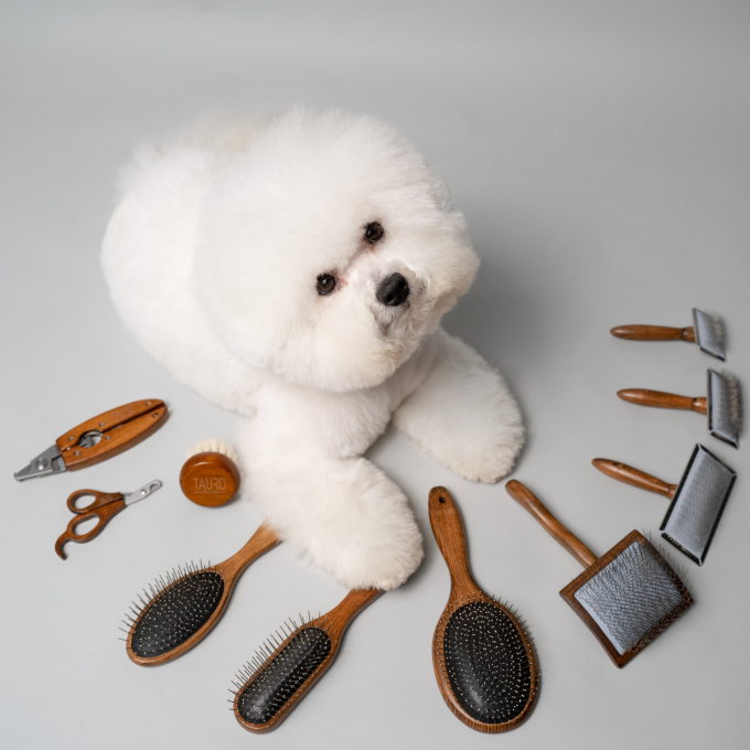 Best clippers for bichon frise outlet